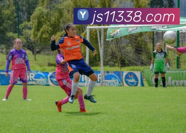 澳门金沙国际品牌故事