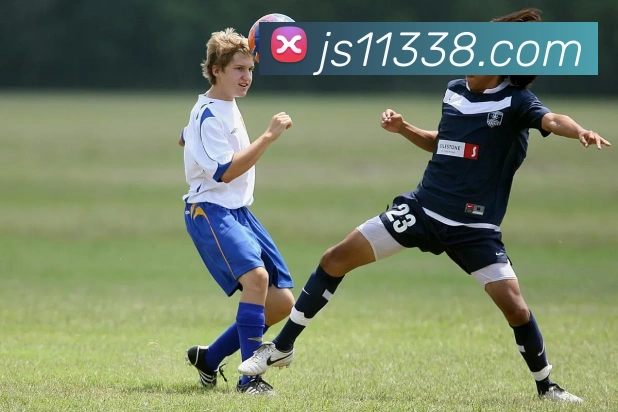 澳门金沙国际服务体系